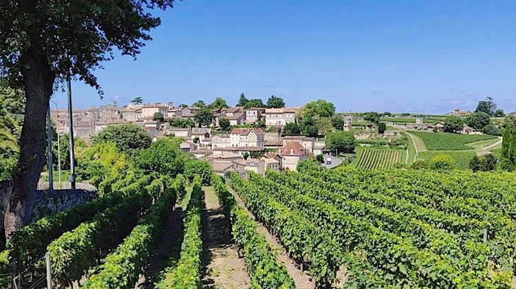 CRÈVE-CŒUR – 10 000 ha de vignes à arracher dans le Bordelais